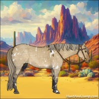 Horse Color:White Spotted Chocolate Palomino Dun 