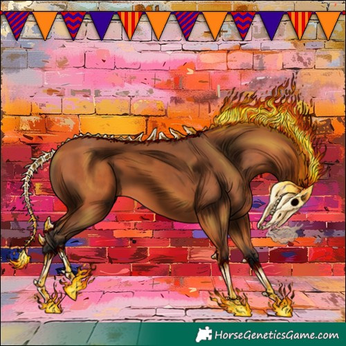 Horse Color:Bay 