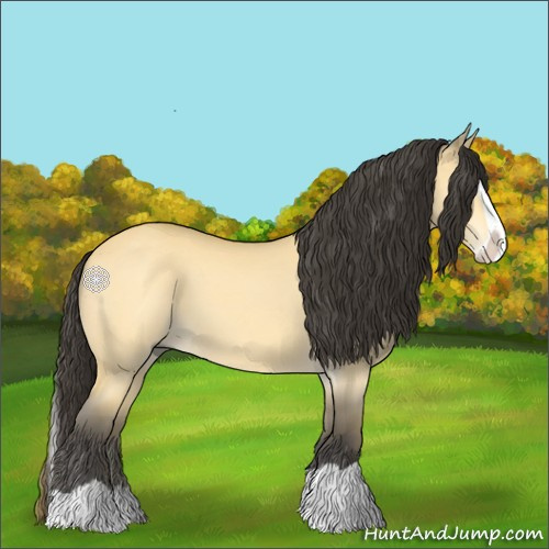 Horse Color:Buckskin Dun Splash 