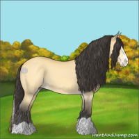 Horse Color:Buckskin Dun Splash 