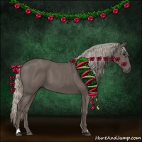 Horse Color:Silver Black 