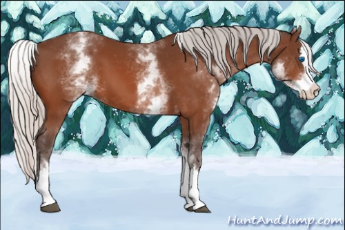 Horse Color:White Spotted Silver Bay Splash 