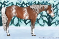 Horse Color:White Spotted Silver Bay Splash 