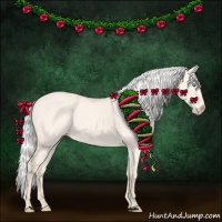 Horse Color:Silver Perlino Dun