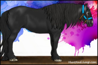 Horse Color:Gray Black 