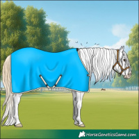 Horse Color:Red Dun Sabino Splash 