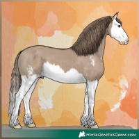 Horse Color:Liver Red Dun Sabino Splash 