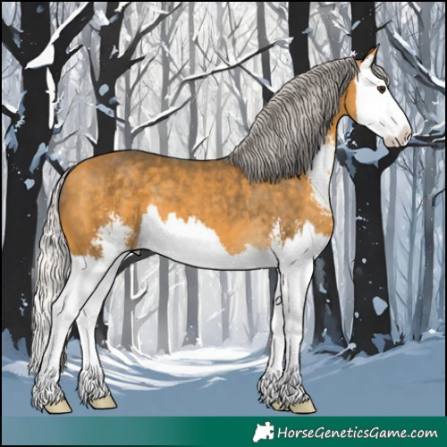 Horse Color:Silver Buckskin Sabino Splash 