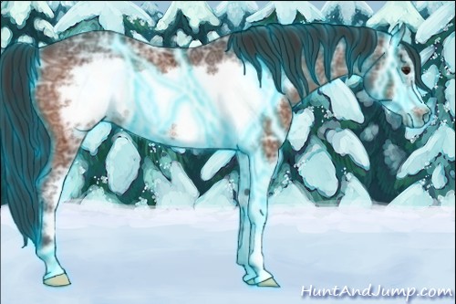 Horse Color:Thunderstruck Brown Ice Sabino Frame Rabicano 