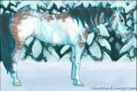 Horse Color:Thunderstruck Brown Ice Sabino Frame Rabicano 