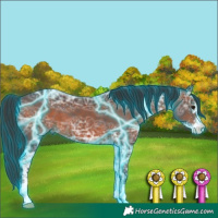Horse Color:Thunderstruck Brown Ice Sabino