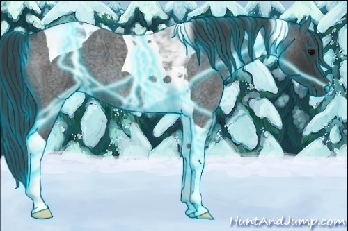 Horse Color:Thunderstruck Blue Roan Tobiano 