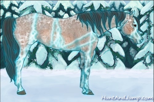 Horse Color:Thunderstruck Bay Ice Roan Sabino 