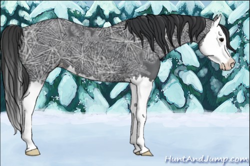 Horse Color:Black Ice Sabino Splash Appaloosa 