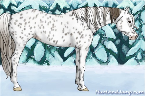 Horse Color:Smoky Blue Ice Roan Leopard