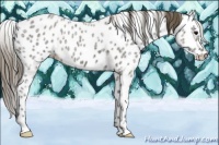 Horse Color:Smoky Blue Ice Roan Leopard 