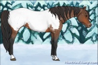 Horse Color:Bay Roan Near Fewspot 
