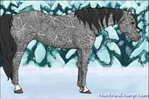 Horse Color:Black Ice 