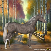 Horse Color:Liver Chestnut Ice Mushroom 