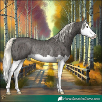 Horse Color:Liver Chestnut Ice Mushroom Splash Rabicano 