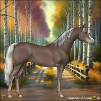 Horse Color:Liver Chestnut Mushroom 