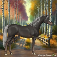 Horse Color:Liver Chestnut Mushroom 