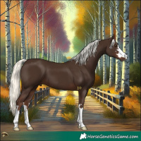 Horse Color:Liver Chestnut Mushroom 