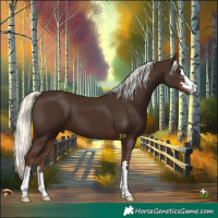 Horse Color:Liver Chestnut Mushroom 