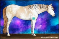 Horse Color:White Spotted Smoky Black Pearl 