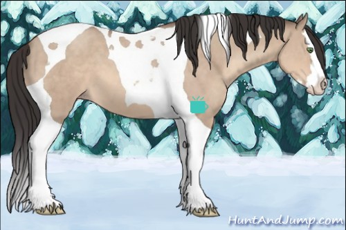 Horse Color:Sable Champagne Dun Splash Tobiano 