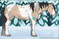 Horse Color:Sable Champagne Dun Splash Tobiano