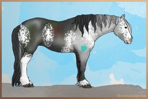 Horse Color:White Spotted Black Sabino
