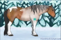 Horse Color:Bay Sabino Tobiano 