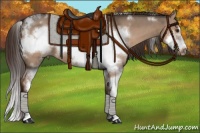Horse Color:White Spotted Liver Red Dun Sabino Frame
