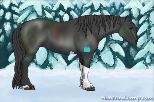 Horse Color:Black Tobiano