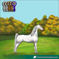 Horse Color:Silver Brown Dun Varnish Rabicano