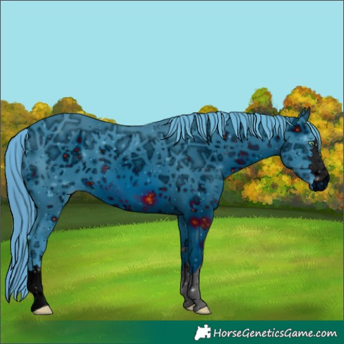 Horse Color:ERROR: UNKNOWN ANOMALY