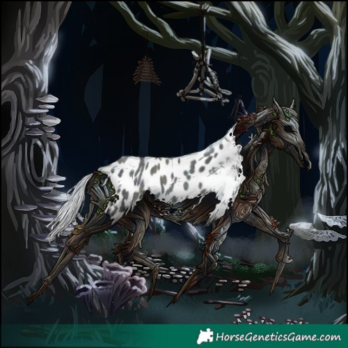 Horse Color:Midnight Amber Champagne Chinchilla Roan Appaloosa Rabicano 