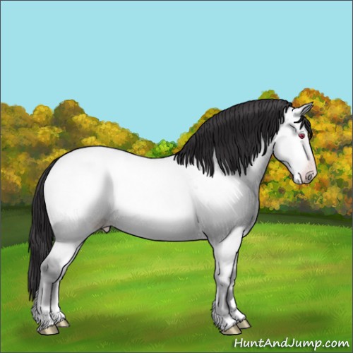Horse Color:Sable Cream Champagne Chinchilla Roan Onyx 