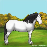 Horse Color:Sable Cream Champagne Chinchilla Roan Onyx 