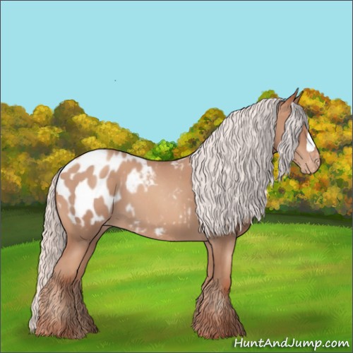 Horse Color:Chocolate Silver Classic Champagne Roan Appaloosa 