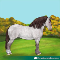 Horse Color:Chocolate Sable Champagne Chinchilla Roan Rabicano