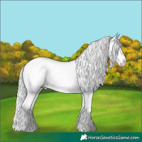 Horse Color:Chocolate Silver Classic Champagne Chinchilla Roan Onyx Appaloosa