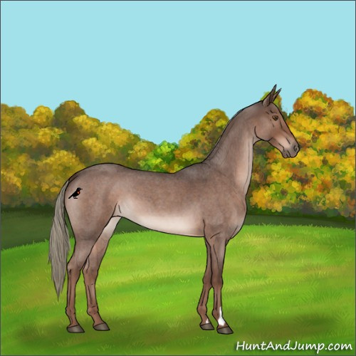 Horse Color:Liver Red Roan Mushroom 
