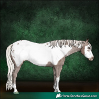 Horse Color:Silver Black Frame Appaloosa