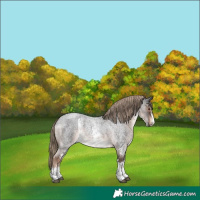 Horse Color:Liver Red Roan Sabino Rabicano