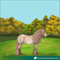 Horse Color:Gold Champagne Dun Rabicano 