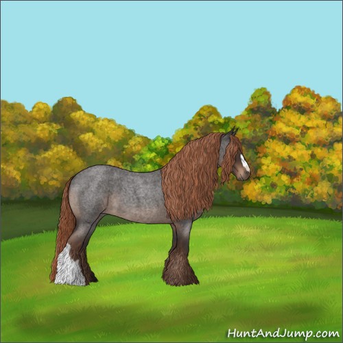 Horse Color:Liver Red Roan 