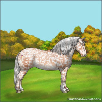 Horse Color:Silver Classic Champagne Appaloosa 