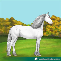 Horse Color:Chocolate Silver Bay Chinchilla Onyx Frame Varnish Rabicano 